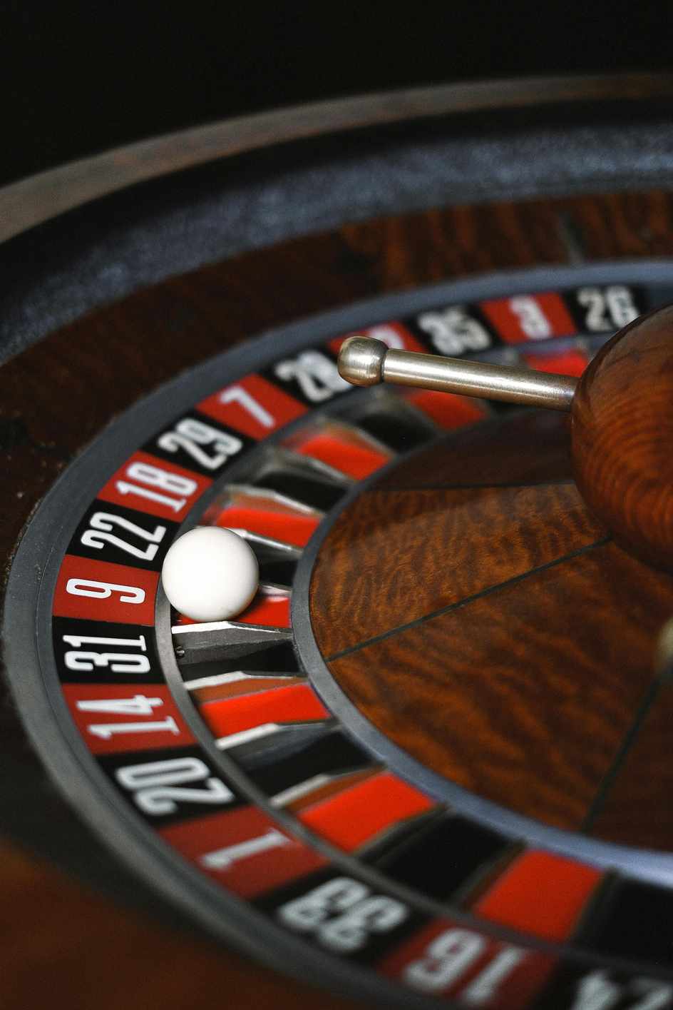 Why Everyone is Talking About Rabbit Win Casino? Unveiling the Hype